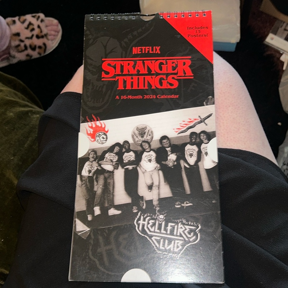 Netflix Stranger Things 16 Month Calendar 2024 (New)
